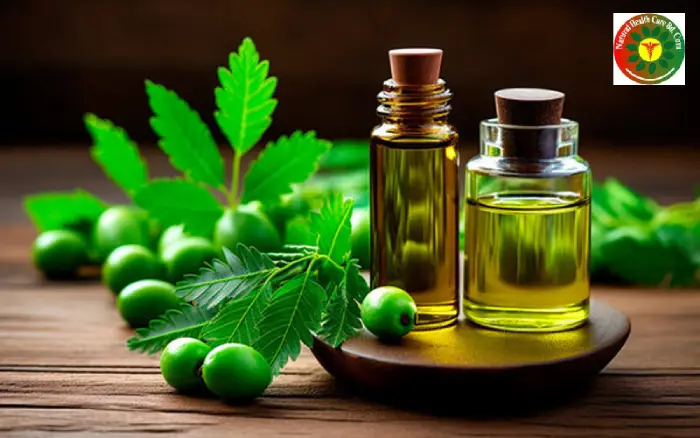 Excellent Benefits of Neem and Neem Oil – Natural Solutions for Hair, Skin, and Health Care