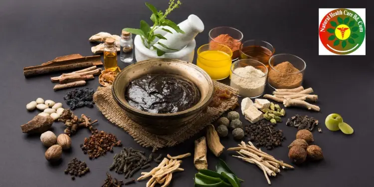 Hair Care Tips: Natural Remedies to Stop Hair Loss and Get Thicker Hair