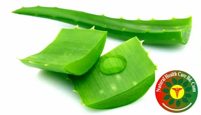Top Health Benefits of Aloe Vera Juice and Gel – For Skin, Heart, and More