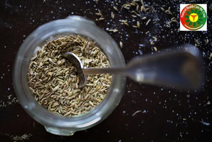 Amazing 15 Health Benefits of Cumin – Nature’s Digestive & Immune Booster